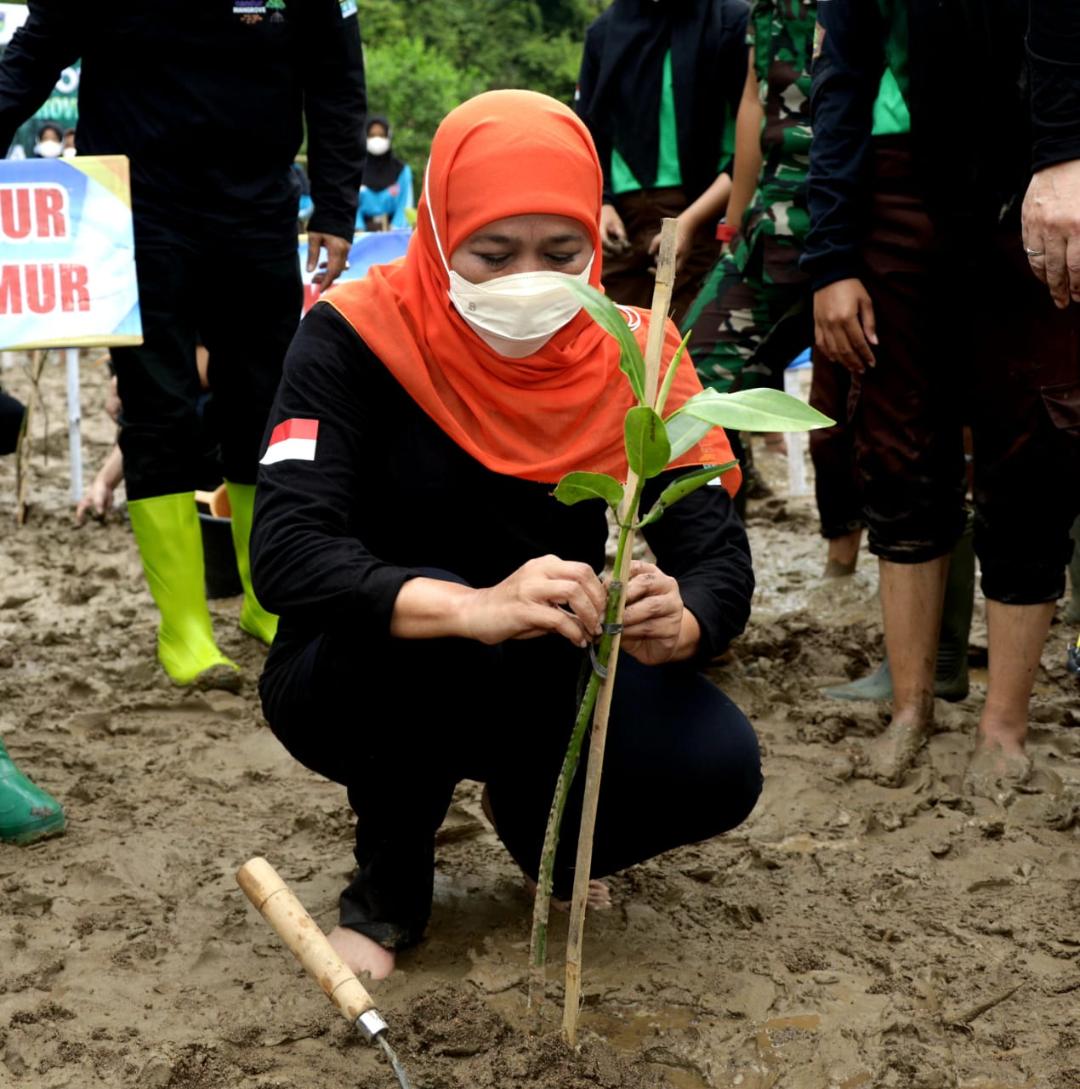 Peringati Hari Lingkungan Hidup Sedunia Gubernur Khofifah Ajak